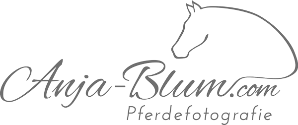 Anja Blum - Pferdefotografie