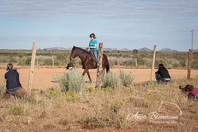 akademisches Reiten fotogrfaieren Namibia