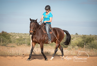 akademisches Reiten Namibia