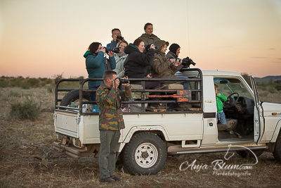 Pferdefotografie Namibia