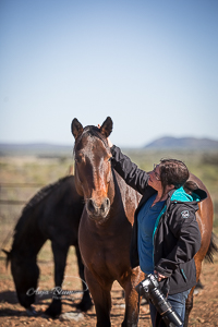 Pferdefotogrfaie im Paddock Namibia