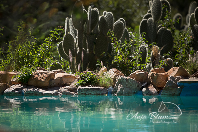 Pool Okambara