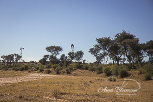 Trockenfluss Namibia